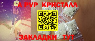мет Кингисепп