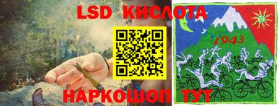 мет Кингисепп