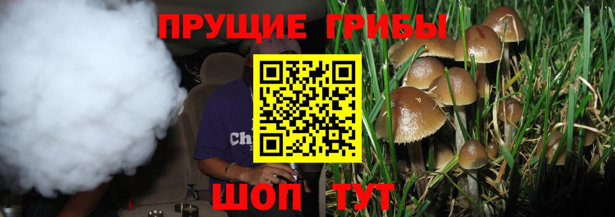 Кропоткин  Псилоцибиновые грибы прущие грибы  наркошоп  Псилоцибиновые грибы Psilocybe  Вход с VPN 